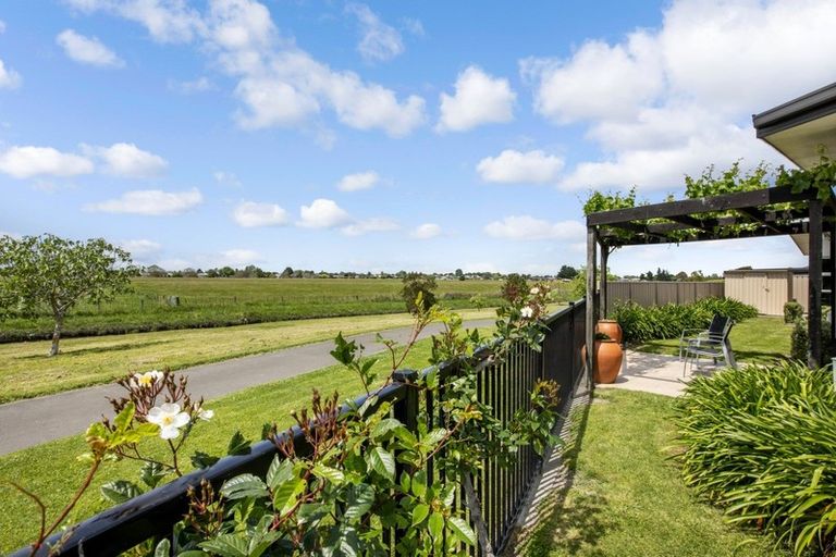 Photo of property in 48 Merlot Drive, Greenmeadows, Napier, 4112