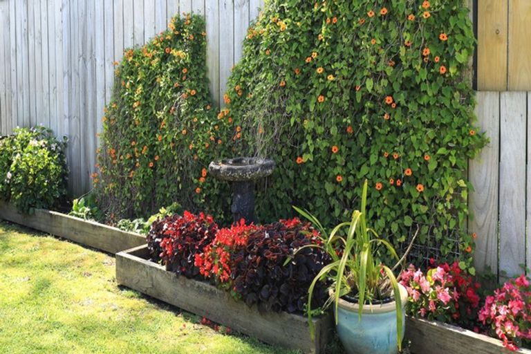 Photo of property in 14 Harlock Place, Huntly, 3700