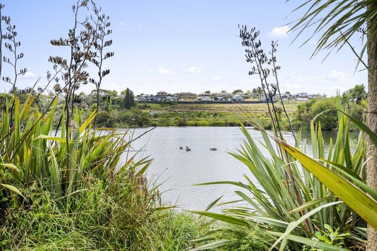 Photo of property in 91 Solomon Street, Brookfield, Tauranga, 3110