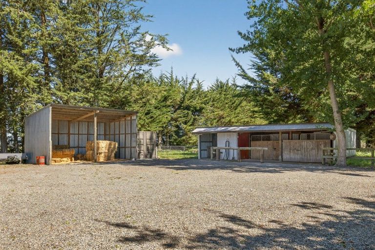 Photo of property in 149 Terrace Road, Cust, Rangiora, 7471