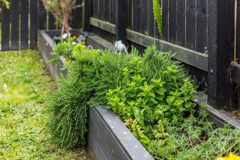 Photo of property in 108 Clyde Street, Island Bay, Wellington, 6023