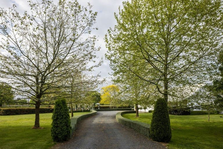 Photo of property in 41 Catra Place, Matangi, Hamilton, 3287