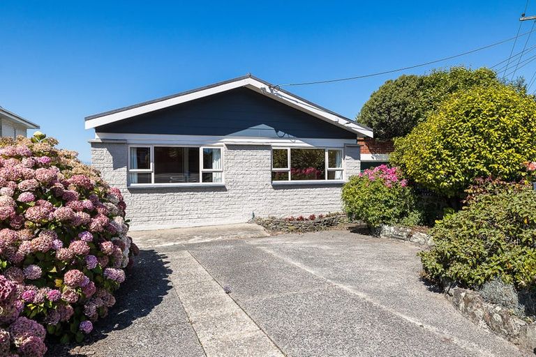 Photo of property in 53 English Avenue, Mornington, Dunedin, 9011