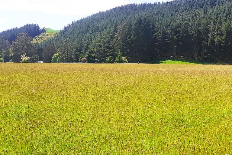 Photo of property in 848 Dovedale Road, Dovedale, Wakefield, 7096