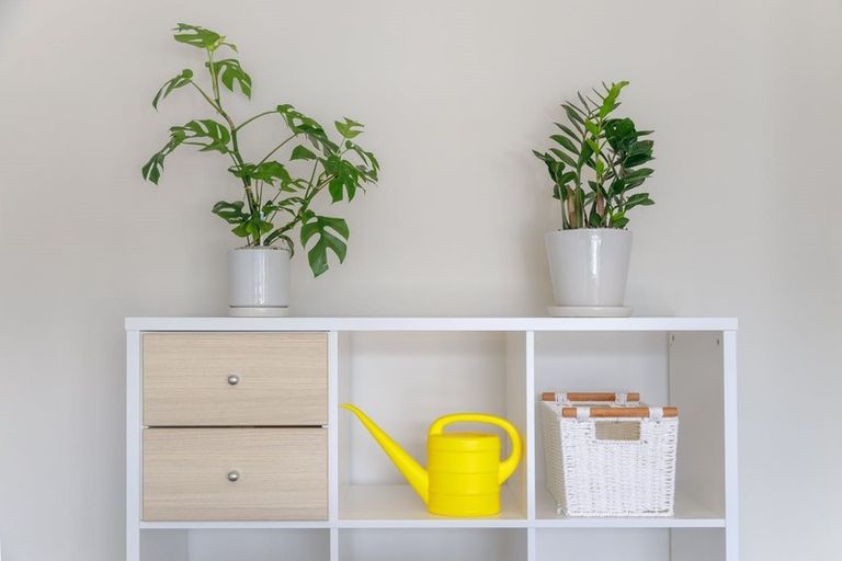 Photo of property in Soho Apartments, 1221/74 Taranaki Street, Te Aro, Wellington, 6011