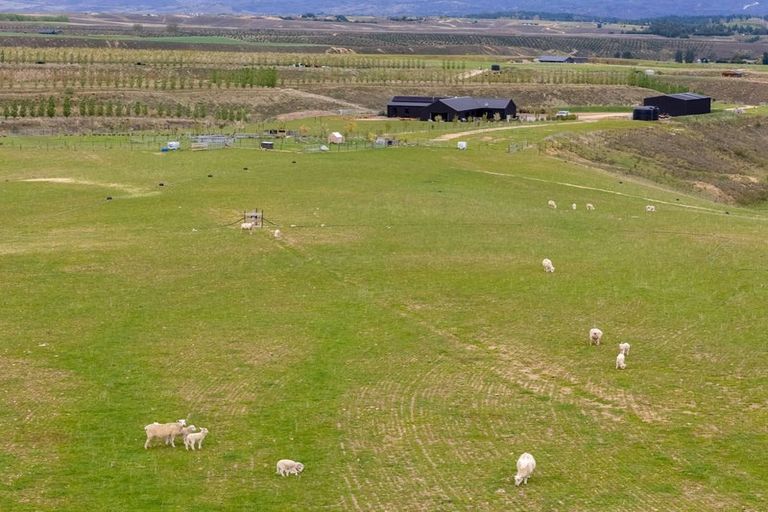 Photo of property in 39 Kordia Way, Waikerikeri, Alexandra, 9391