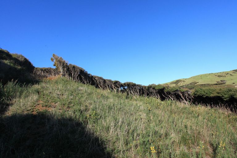 Photo of property in 1580 Whaanga Road, Raglan, 3296