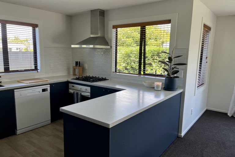 Photo of property in 137 Mcfaddens Road, St Albans, Christchurch, 8052