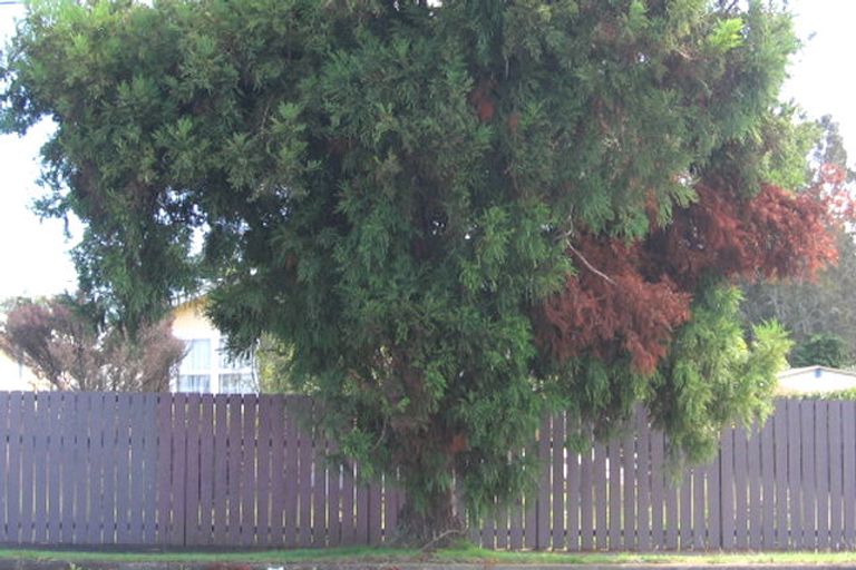 Photo of property in 121 Metcalfe Road, Ranui, Auckland, 0612