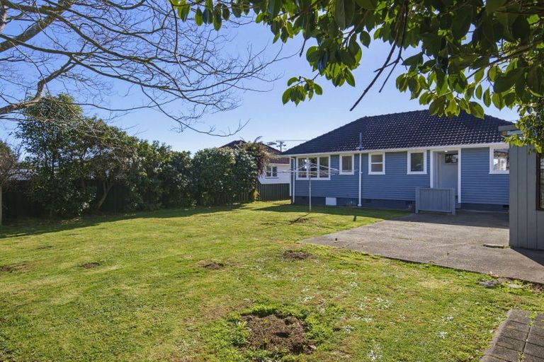 Photo of property in 58 Power Street, Levin, 5510