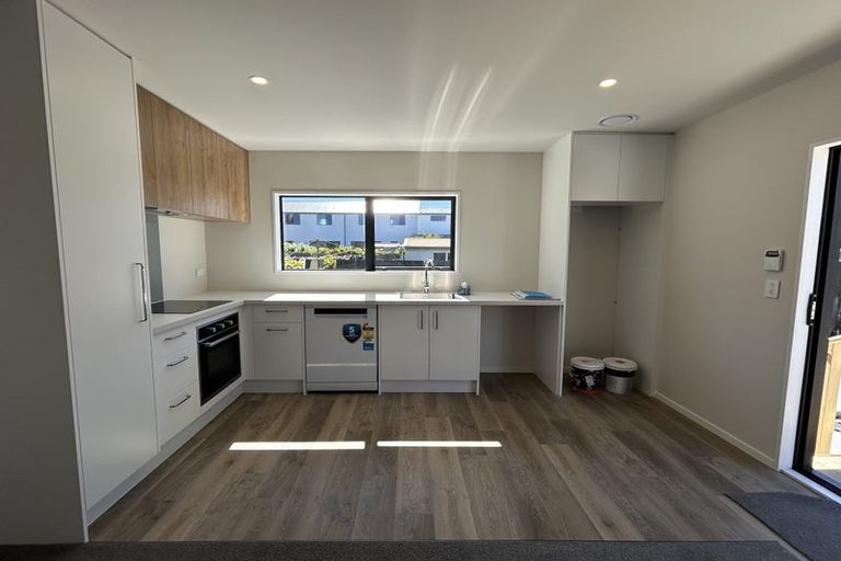 Photo of property in 45b Ryan Street, Phillipstown, Christchurch, 8011