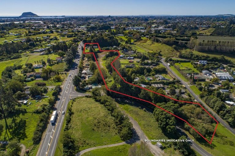 Photo of property in 49b Taniwha Place, Bethlehem, Tauranga, 3176