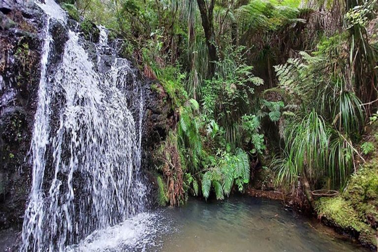 Photo of property in 49 Red Bridge Road, Pukepoto, Hikuai, 3579