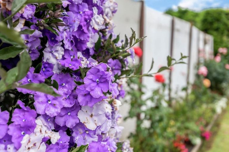 Photo of property in 15 La Perouse Street, Botany Downs, Auckland, 2010