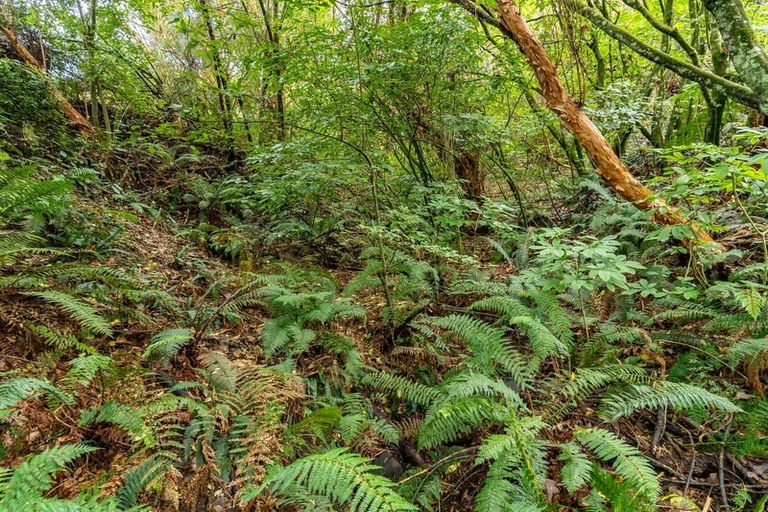 Photo of property in 38 Coombe Hay Terrace, Careys Bay, Port Chalmers, 9023