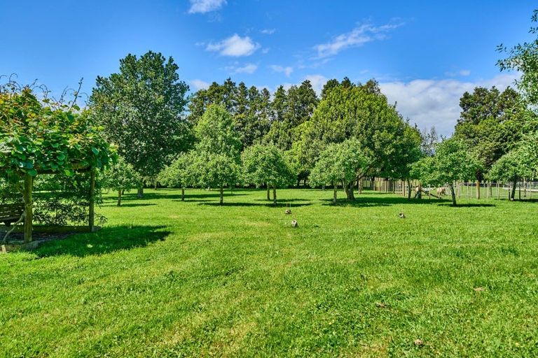 Photo of property in 96 Arcus Road, Te Horo, Otaki, 5582