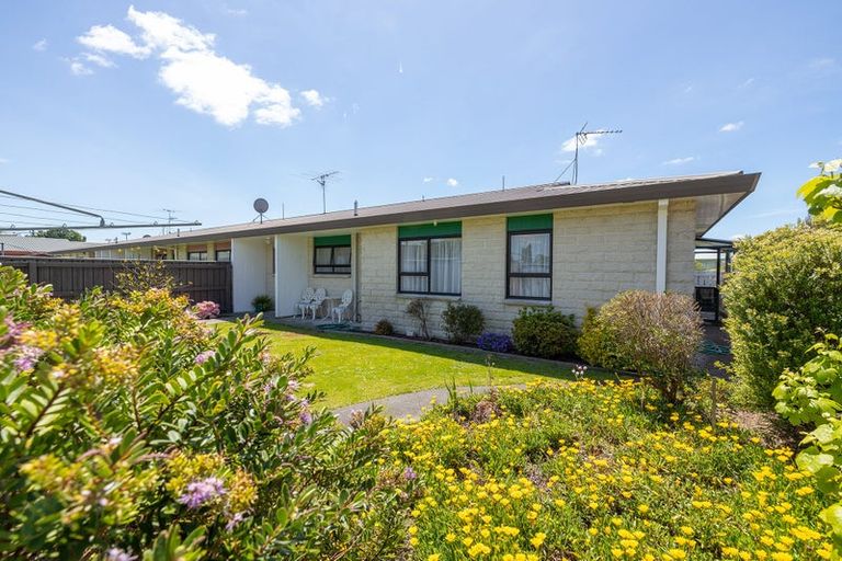 Photo of property in 17 Kiwi Street, Masterton, 5810