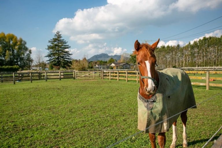 Photo of property in 298 Bellevue Road, Matangi, Cambridge, 3493