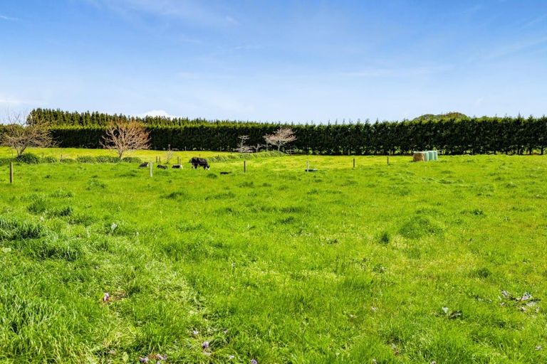 Photo of property in 484 Corbett Road, Lepperton, New Plymouth, 4373