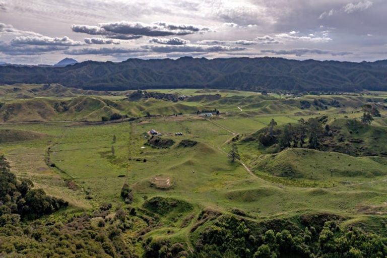 Photo of property in 546 Foster Road, Taneatua, 3191