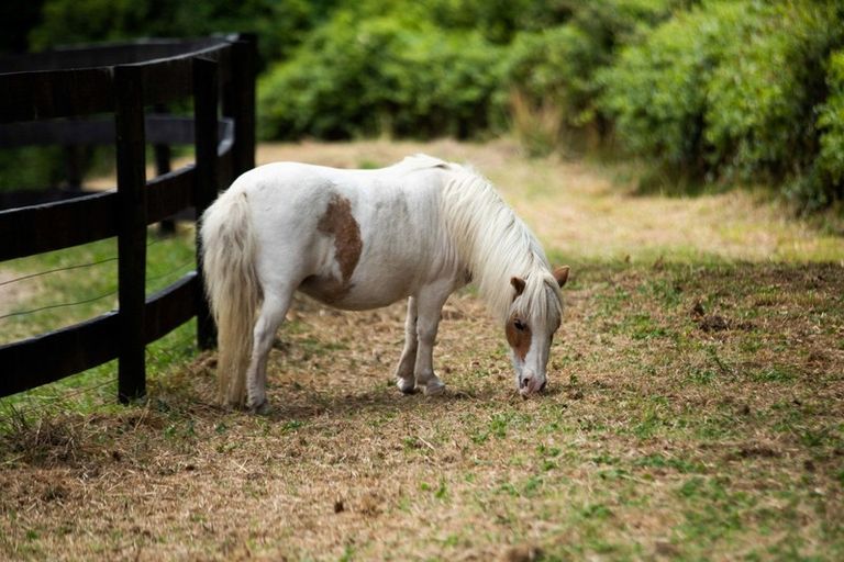 Photo of property in 355 Woodlands Road, Waihi, 3682