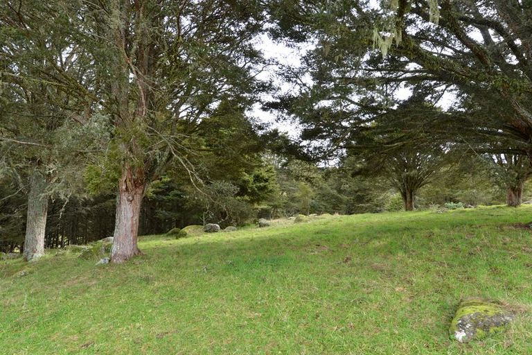 Photo of property in 126 Apotu Road, Kauri, Kamo, 0185