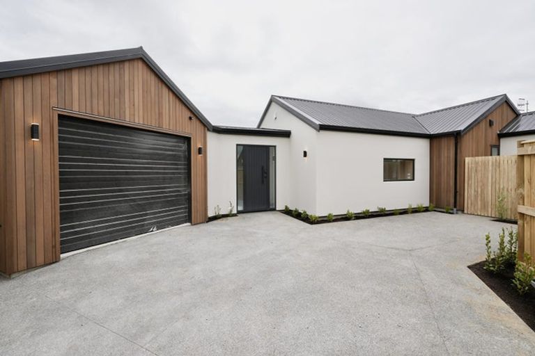 Photo of property in 17c Brightwater Terrace, Terrace End, Palmerston North, 4410