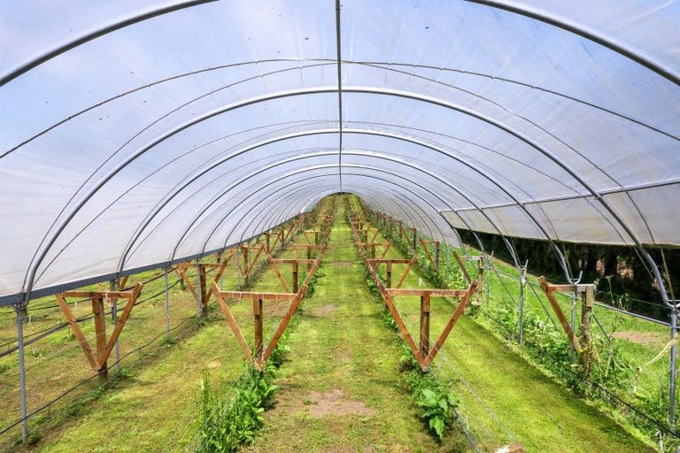 Photo of property in 54 Sinclair Road, Whakamarama, Tauranga, 3179