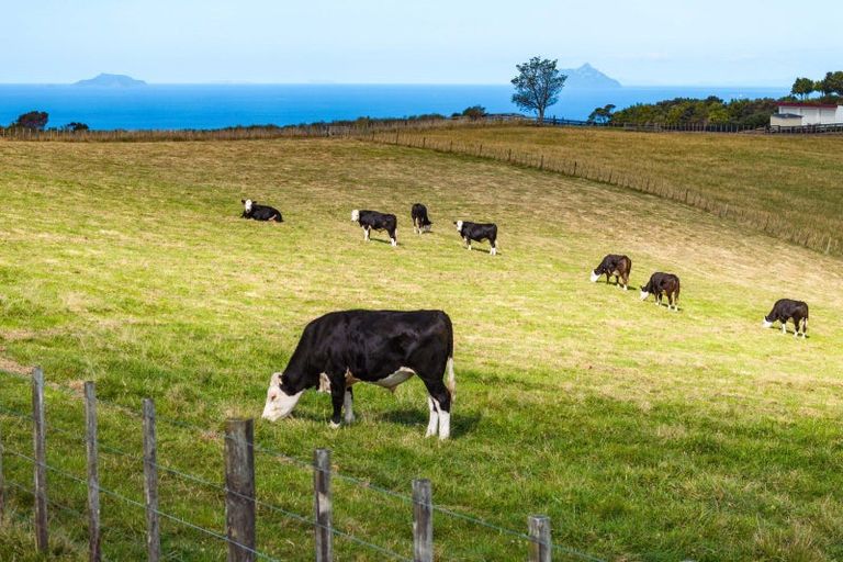 Photo of property in 585 Ormiston Road, Ruakaka, Waipu, 0582