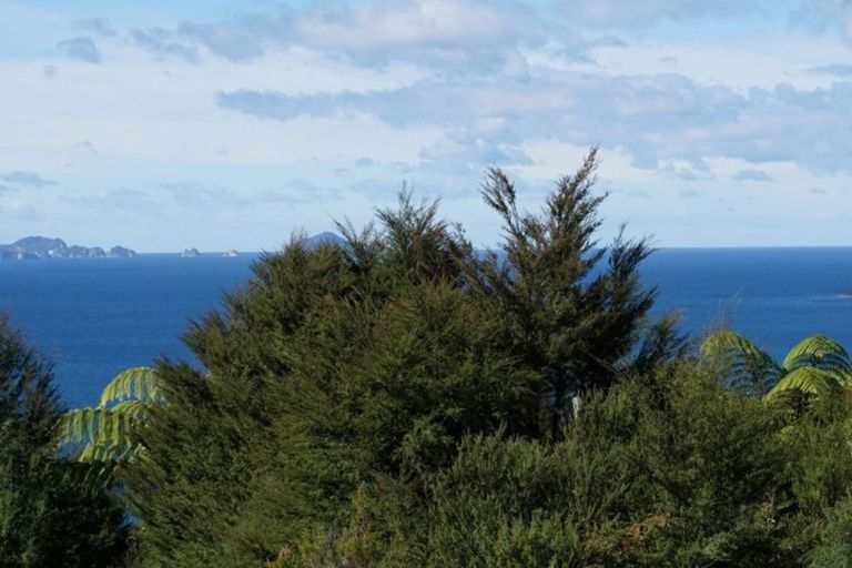 Photo of property in 180 Pumpkin Hill Road, Pumpkin Hill, Whitianga, 3591