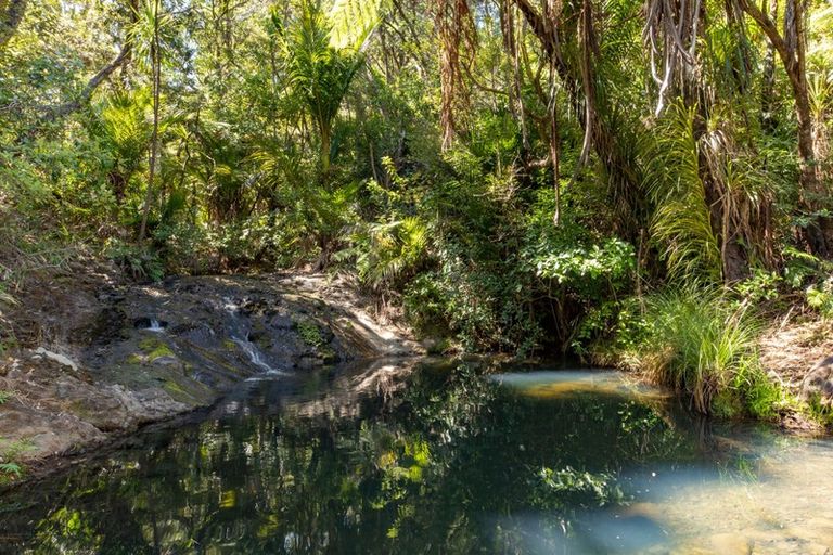 Photo of property in 40 Lone Kauri Road, Karekare, New Lynn, 0772