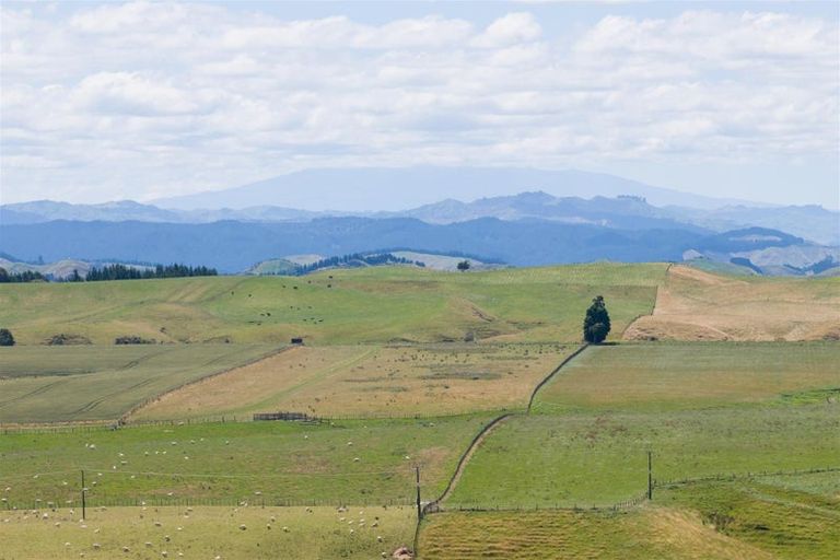 Photo of property in 189 Griffins Road, Marton, 4788