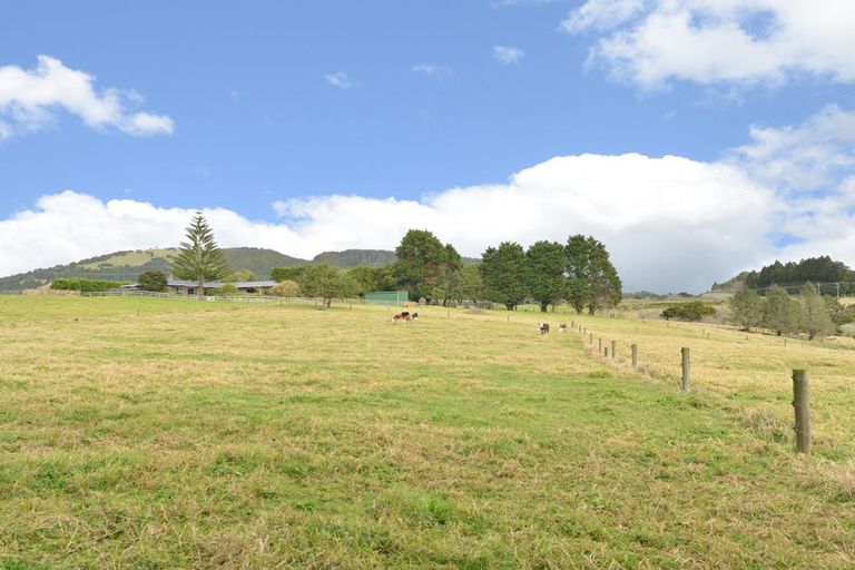 Photo of property in 126 Apotu Road, Kauri, Kamo, 0185