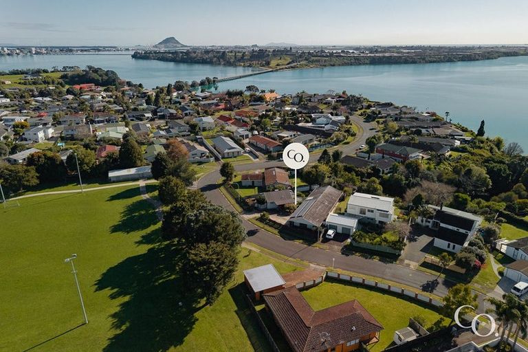 Photo of property in 53 Te Hono Street, Maungatapu, Tauranga, 3112