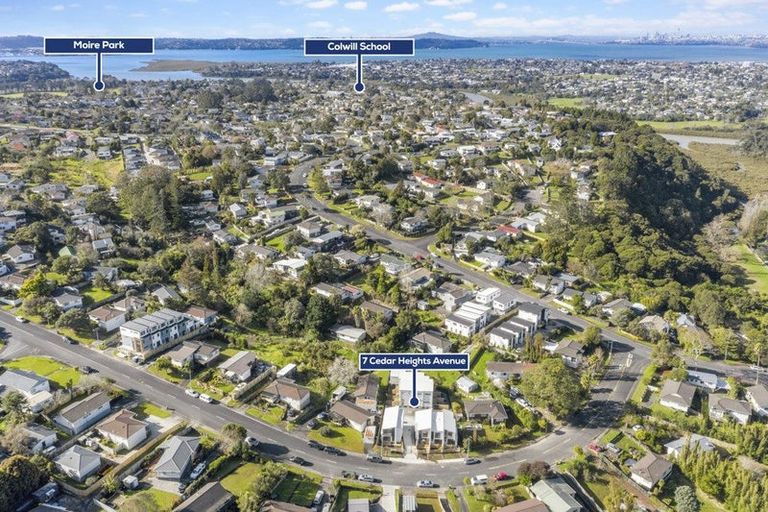 Photo of property in 196 Tara Road, Mangawhai, 0573