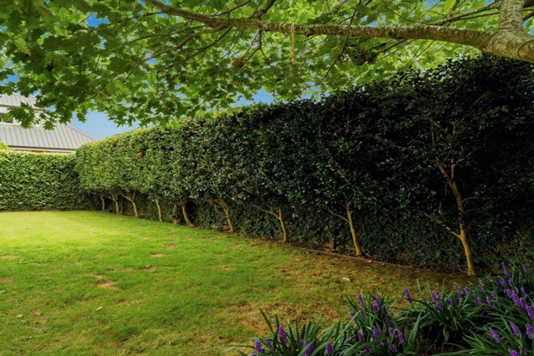 Photo of property in 38 Stephens Place, Hairini, Tauranga, 3112