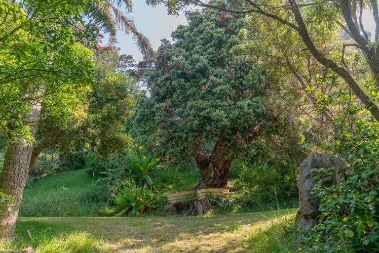 Photo of property in 16 Kawhero Drive, Kuaotunu, Whitianga, 3592