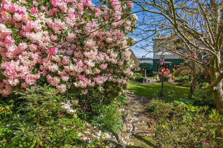 Photo of property in 17 Hunt Terrace, Wakefield, 7025