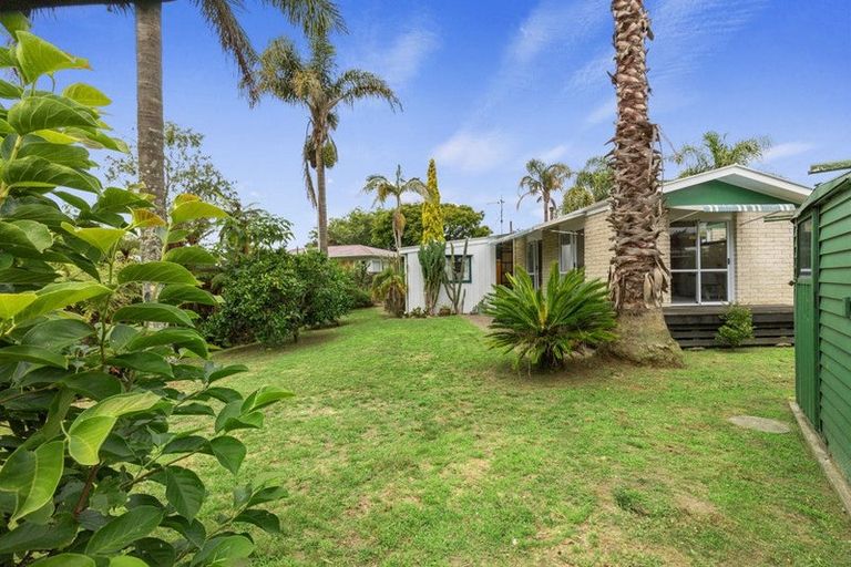 Photo of property in 91 Fitzroy Avenue, Fitzroy, Hamilton, 3206