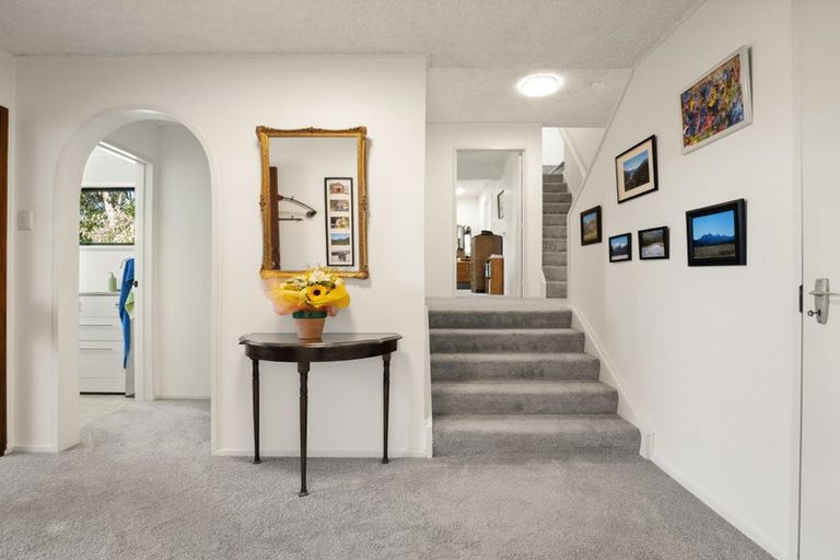 Photo of property in 24a Melrose Street, Roslyn, Dunedin, 9010