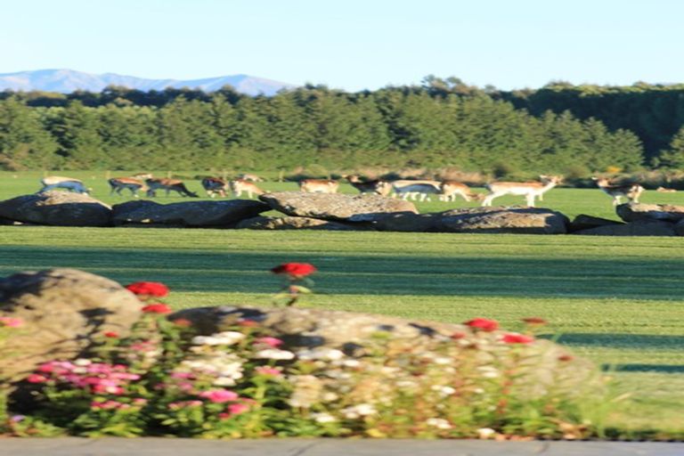 Photo of property in 18 Meadowlinks Lane, Pleasant Point, 7974