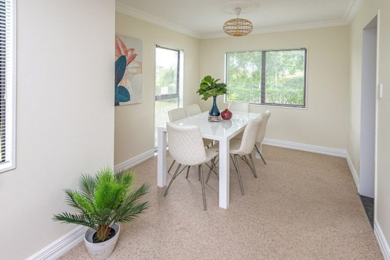 Photo of property in 117 Putiki Drive, Putiki, Whanganui, 4500