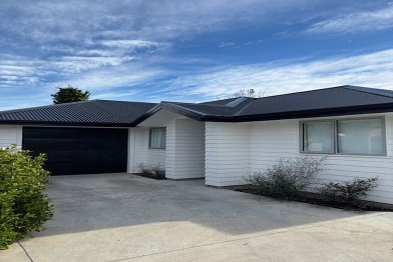 Photo of property in 115a Limbrick Street, Terrace End, Palmerston North, 4410