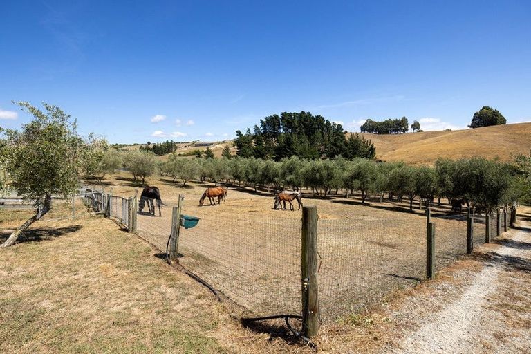 Photo of property in 136 Harley Road, Tasman, Upper Moutere, 7175