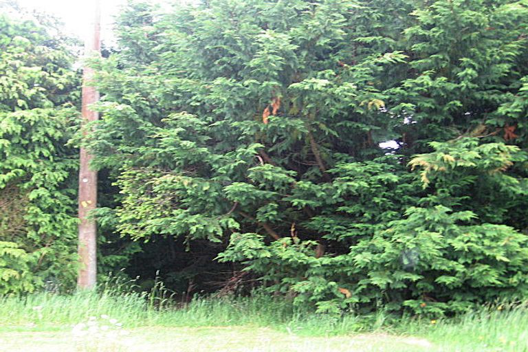 Photo of property in 13 Piwari Street, Rangataua, Ohakune, 4691