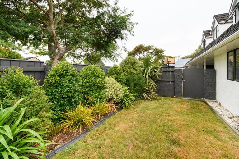 Photo of property in 8 Mcarthur Street, Terrace End, Palmerston North, 4410
