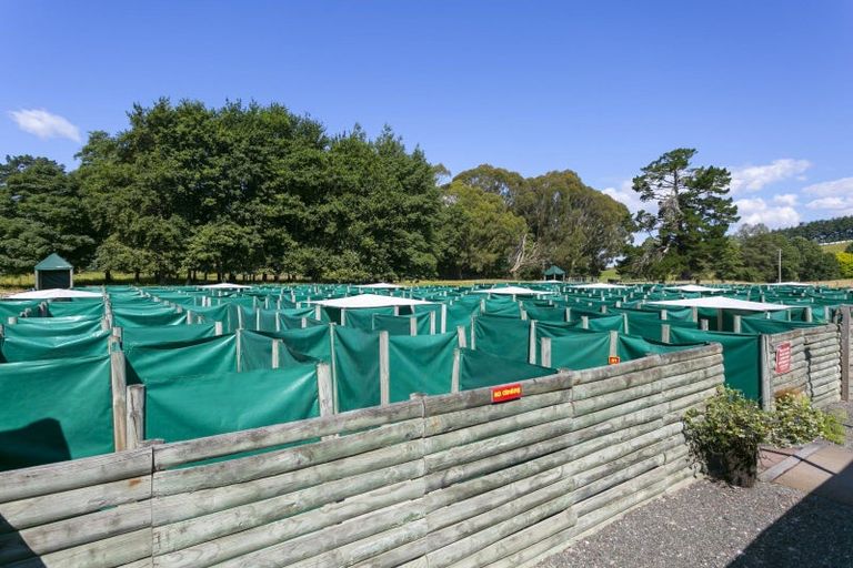 Photo of property in 8 Palmer Mill Road, Wairakei, Taupo, 3384