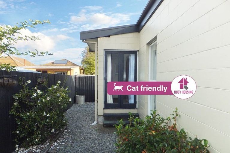 Photo of property in 8/23 Frederick Street, Waltham, Christchurch, 8011