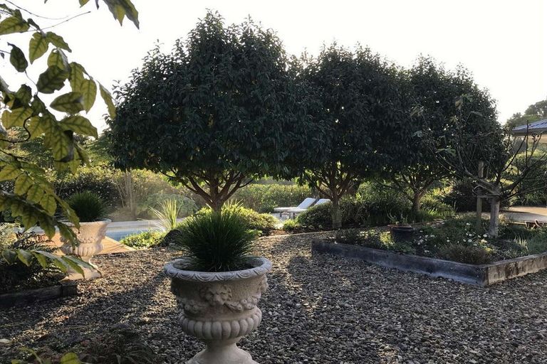 Photo of property in 73a Riddell Road, Kerikeri, 0230