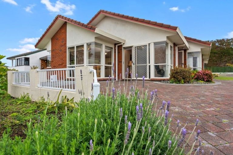 Photo of property in 32 Bayfair Drive, Mount Maunganui, 3116